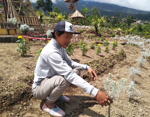 Budi Daya Kasna sangat Prospektif