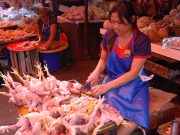 Harga Ayam di Peternak kembali Melorot Tajam