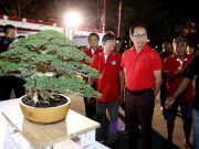 Kontes Bonsai “Giri Wana Cup” Badung Tahun 2019 Diramaikan 500 Peserta Seluruh Indonesia