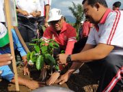 Wabup Suiasa Tanam Bibit Kopi Arabika di Kawasan Agro Techno Park