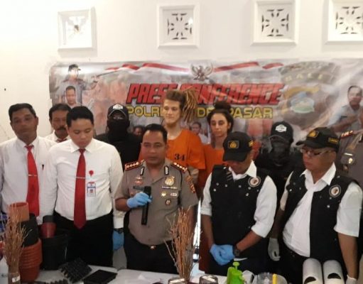 Tanam Pohon Ganja di Rumah Kontrakan, Dua WNA Asal Rusia Ditangkap