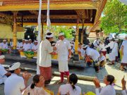 Karya Piodalan di Pura Desa dan Puseh Desa Adat Tandeg Kuta Utara, Wabup Suiasa Kukuhkan Pengurus Adat