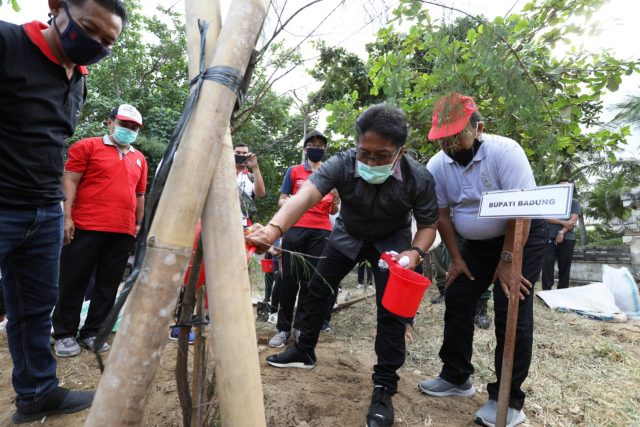Bupati tanam pohon cemara (8)