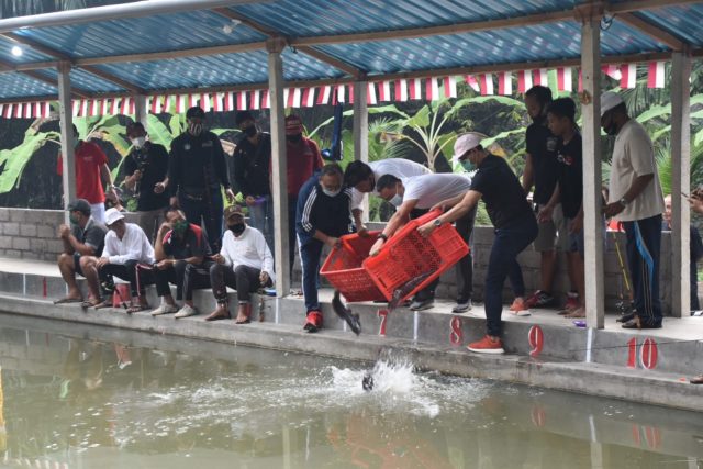 Wabup Menanam Pohon (4)
