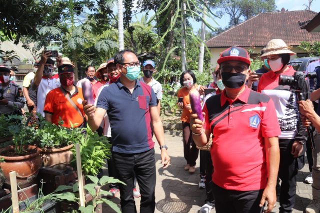 Wabup panen hidroponikk (3)