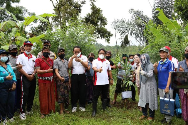 Bupati di Petang (1)