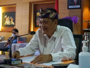 Rai Mantra Buka Webinar Internasional “Inovation and Technology Toward The Development of Local Economy”