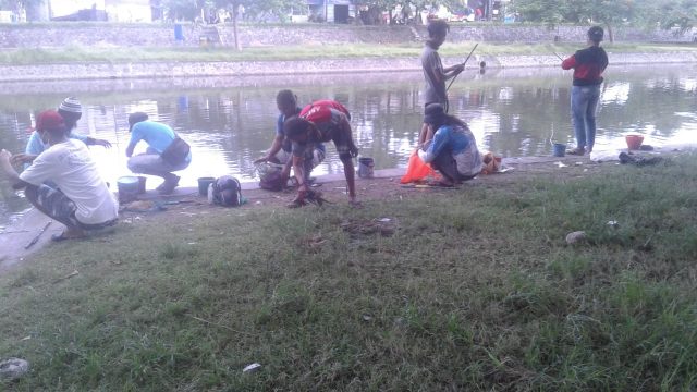 cing