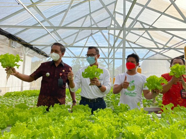 Jejukutan Hydroponik (1)