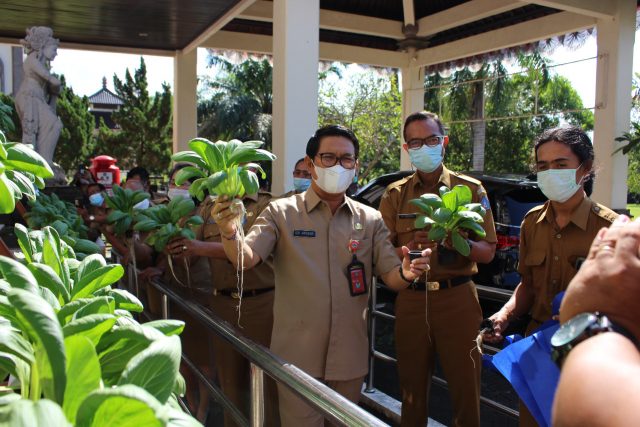 Sekda Panen Hidroponik (2)