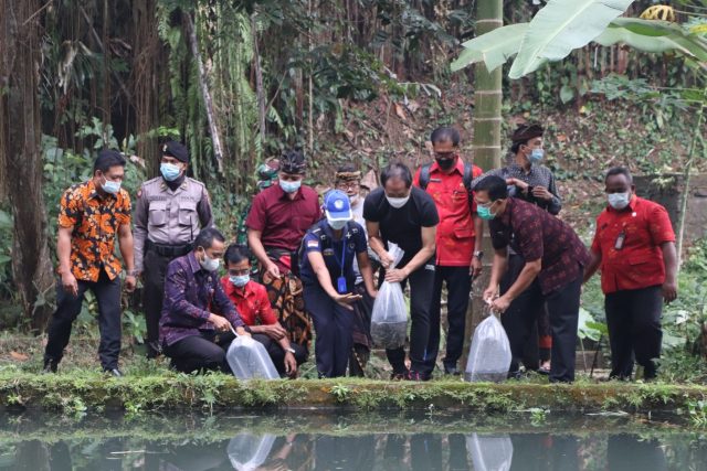 Tebar Benih Ikan (9)