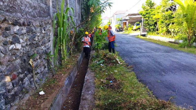 padat2