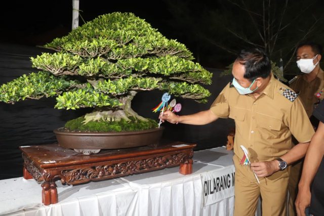 Wabup Buka Bonsai (4)