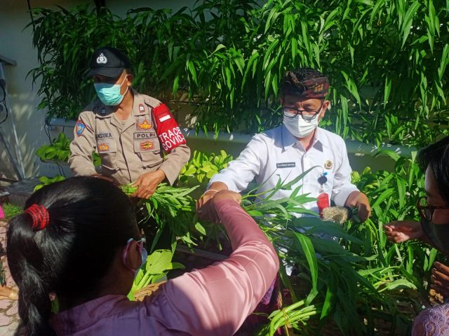 sayur