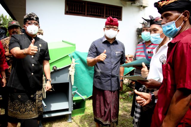 Bupati Panen Padi (7)