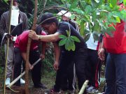 Yadnya Dalam Menjaga Alam, Bupati Giri Prasta Gelar Penanaman Pohon di Pelaga