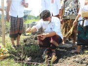 Wawali Kadek Agus Arya Wibawa Mendem Dasar Pembangunan TPS3R Sidarkaya