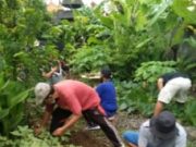 Kelurahan Sumerta Gelar Giat Minggu Bersih dan Panen Buah serta Sayuran