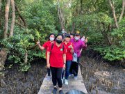 Bentuk Kebersamaan, TP PKK Denpasar Gelar “Gathering” di Hutan Mangrove