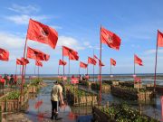 Penanaman Serentak Mangrove, dari Bali Kita Belajar Rawat Pertiwi