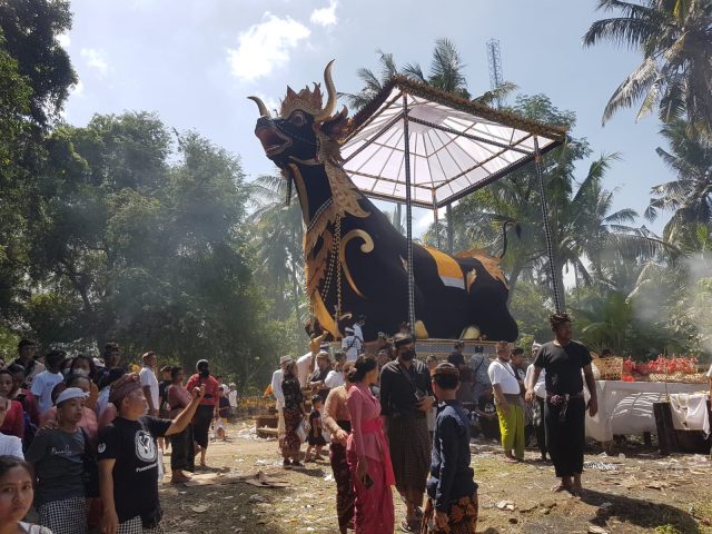 sampi