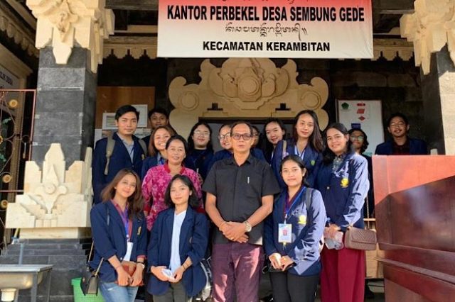 sembung gede