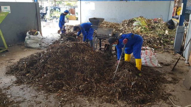 sampah4