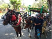 Perkenalkan Objek Wisata “City Tour”, Dispar Denpasar Gelar Dokar Hias Gratis Setiap Hari hingga 17 Desember