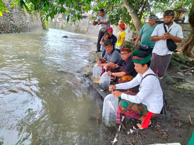 nila2