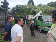 Cuaca Ekstrem, Sejumlah Pohon di Denpasar Tumbang