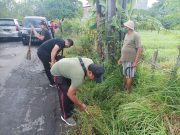 Desa Sidakarya Lakukan Giat Jumat Bersih, Pangkas Rumput Liar di Tepi Jalan Kerta Dalem
