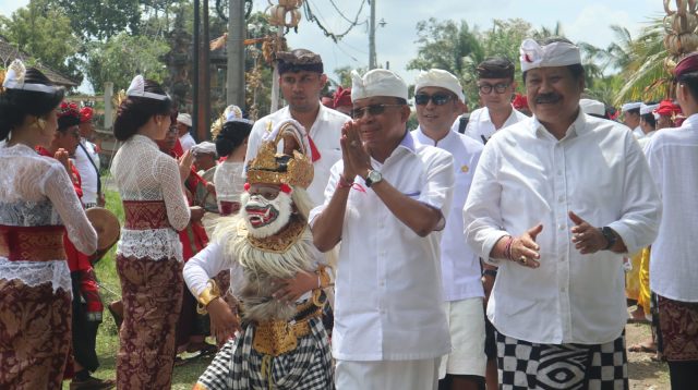 kelapa