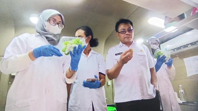 lab