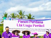 Ny. Rasniathi Hadiri Panen Perdana Ubi Ungu dan Temu Rasa dengan Lansia Desa Bongkasa Pertiwi