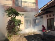Tekan Kasus DBD, Pemkot Denpasar Gelar Foging ULV di 39 Titik di Kota Denpasar