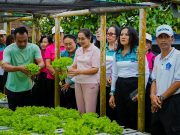 Dorong Ketahanan Pangan, Ketua TP PKK Badung Panen Melon dan Sayur Hidroponik di Desa Selat