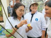 Dorong Pengelolaan Sampah Berbasis Sumber, Rasniathi Adi Arnawa Tinjau Plastic Exchange di Kuta Selatan