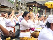 TP PKK Kota Denpasar Kembali Ajak Ratusan Lansia Dentim dan Denbar Tirtayatra ke Pura Tirta Empul