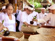 Wawali Arya Wibawa Hadiri Karya Pedudusan Alit Pura Desa dan Bale Agung Desa Adat Penyaringan Sanur