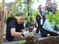 TP PKK Badung Perindah Ruas Jalan Kerobokan dengan Penanaman 150 Pohon Bugenvil