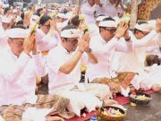 Pemkot Denpasar “Ngaturang Bhakti Penganyar” Ida Bhatara Turun Kabeh di Pura Agung Besakih