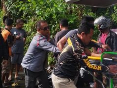 Pengendara Motor Tewas Tertimpa Pohon Kapuk di Ungasan