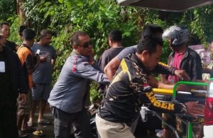 Pengendara Motor Tewas Tertimpa Pohon Kapuk di Ungasan