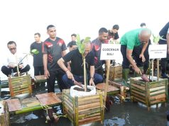 Tanam Mangrove Bersama Jamintel Kejagung dan Kejati Bali, Gubernur Koster Ajak Sinergi Tingkatkan Cakupan Ruang Hijau Bali