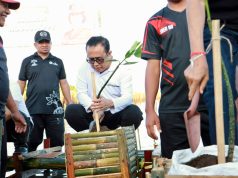 Dukung Kolaborasi Hijau, Walikota Jaya Negara Ikut Tanam Mangrove dan Pelepasan Burung