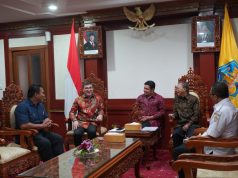 Gubernur Koster dan Dubes Turki untuk Indonesia Bahas Kerja Sama Berbagai Bidang Strategis
