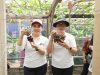 Panen Anggur di Subak Peraupan Barat, Ketua TP PKK Antari Jaya Negara Dorong “Urban Farming” dan Agrowisata Berkualitas
