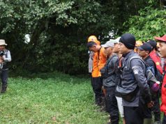 Harapan Memudar, Pencarian Pria Lanjut Usia di Gunung Batukaru Resmi Dihentikan