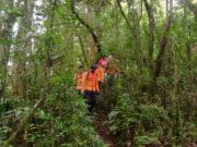 Dikabarkan Hilang, Pendaki Ditemukan Tewas di Jurang Gunung Batukaru