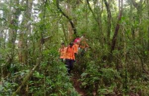 Dikabarkan Hilang, Pendaki Ditemukan Tewas di Jurang Gunung Batukaru